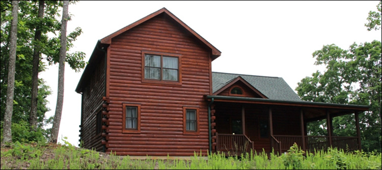 Professional Log Home Borate Application  Mill Spring,  North Carolina